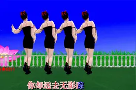 背面带跳广场舞《夜夜把你梦》遇见你是我三生有幸，欢迎观赏