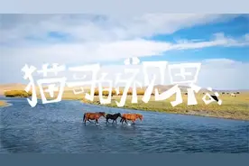 现状，也挺好：蒙古国骚乱启示录（下集）视频封面