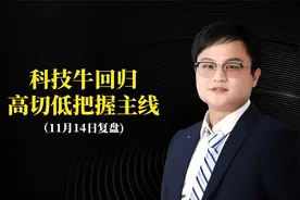 11月14科技牛回归，高切低把握主线视频封面