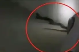 吓人，长3米重8斤！柳州一小区车库惊现眼镜王蛇视频封面