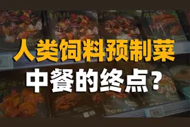 "人类饲料”预制菜，是万亿风口，还是资本骗局？