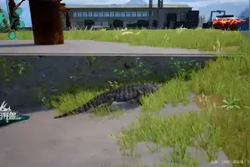 ①恐龙岛吞噬进化，玩鳄鱼就得当老六，发育进化全靠智商，开干