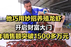 他巧用妙招养殖龙虾，开启财富大门，年销售额突破1500多万元视频封面