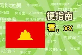 “看，xx”是什么梗【梗指南】视频封面