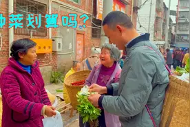 四川农村赶集辣椒秧5角一颗，买了几十颗来种，也不知道能不能活视频封面