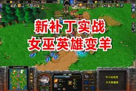 War3最新补丁实战，女巫把英雄变羊，大战兽族2本牛头！魔兽争霸3
