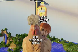 坤坤只喝“白象”的冰红茶（耐摔王合集3）视频封面