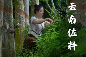 云南野菜多，来一桌板扎的云南“佐料”宴！视频封面