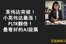 英伟达突破！小英伟达暴涨！PLTR翻倍！最看好的AI股票。