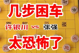 许银川巅峰时的算力有多恐怖，开局仅几步棋就困住了张强一杆车视频封面