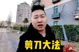 网传：剪刀大法可以找猫？怎么一个星期了还没回来？视频封面