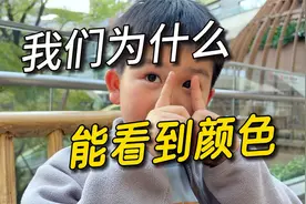 熊猫是熊科还是猫科？视频封面