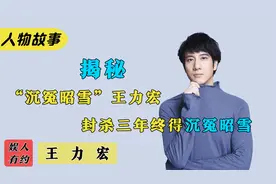 王力宏：被誉为优质偶像，却被封杀三年，王力宏究竟有何魅力？