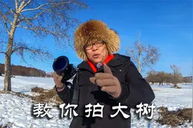 极寒天气教你如何拍好大树，拍树三要素：背景、构图、光线