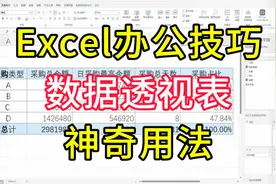 Excel实用技巧：10秒挑战！数据透视表同时分析汇总金额4个指标视频封面