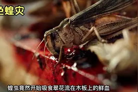 女人不小心摔倒在食人虫的老巢，无数的食人虫爬满她的全身视频封面