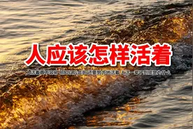 人这辈子到底应该怎么活？看完这个视频就释然了！人生感悟