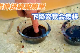 纯硫酸的腐蚀性到底有多强？牛人用手尝试，结果不敢相信！视频封面
