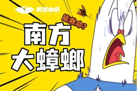 你害怕的南方大蟑螂，可能救过你的命！