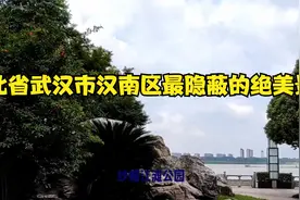 湖北省武汉市汉南区最隐蔽的绝美景点视频封面
