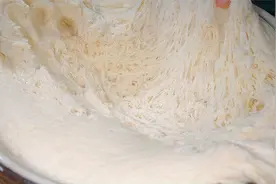 发面只加酵母和白糖就错了，教你面点大师发面技巧，10分钟发好面