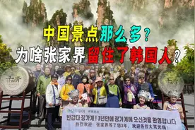 张家界成了韩国人后花园！年年来逛！韩国人：去那！我就成孝子