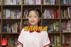 菊花的组成，原来它是一簇花！@西瓜知识 @西瓜儿童视频封面