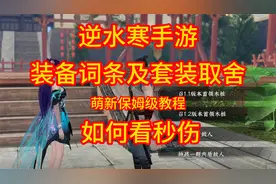逆水寒手游：萌新攻略之装备词条及套装应用和如何查看秒伤