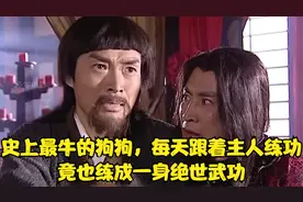 史上最牛的狗狗，每天跟着主人练功，竟也练成一身绝世武功