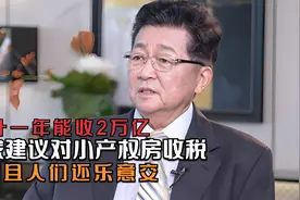 专家建议对小产权房收税，合计一年能收2万亿，而且人们还乐意交视频封面