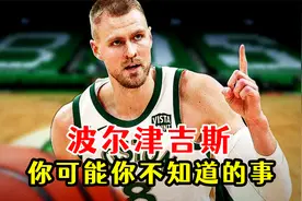 关于波尔津吉斯，你可能不知道的事视频封面