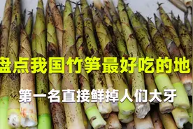 盘点我国竹笋最好吃的地区，竹笋当成水果生吃，第一名鲜掉大牙视频封面