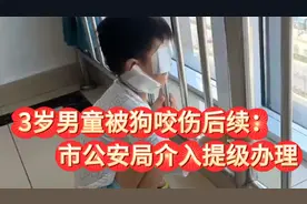 3岁男童被狗咬伤死亡后续：市公安局介入提级办理，孩子妈崩溃了