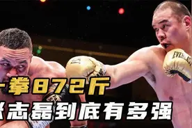 一拳800斤,无敌KO王,张志磊的拳击生涯有多传奇?视频封面
