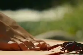 男子得了臆想症幻想老婆视频封面