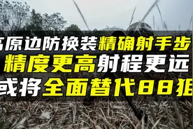高原边防换装精确射手步枪，精度更高射程更远，或将全面替代88狙视频封面