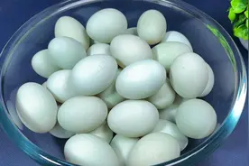 想吃咸鸭蛋别再出去买了，教你腌咸鸭蛋正确做法，个个流油起沙