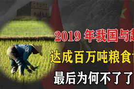 2019年我国与越南达成900万吨大米进口协议，最后为何不了了之？视频封面