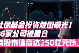 社保基金投资版图曝光！96家公司被重仓，市值高达250亿元以上！视频封面