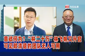 意欲何为？“林二十万”林飞帆又升官，可见赖清德的团队无人可用视频封面