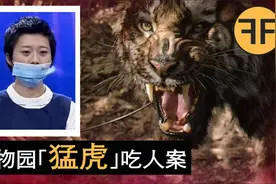 「母老虎」VS「真老虎」才知自己是纸老虎，八达岭猛虎伤人案视频封面
