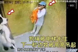狗绳被电梯卡住狗子被高高吊起，隔着屏幕都看着急了，不配养狗呀视频封面