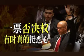 巴勒斯坦坎坷的入联合国之路，一票否决也能用到让人恶心的地步视频封面