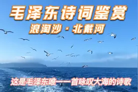 毛泽东诗词鉴赏《浪淘沙·北戴河》