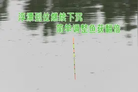 浮漂到位继续下沉？无非两方面出了问题，这样调整还可以钓过瘾视频封面