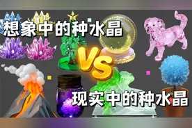 我妈想象中的种水晶VS现实中的种水晶，差别有多大？视频封面