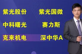 紫光股份，紫光国微，中科曙光，赛力斯，克来机电，深中华A视频封面