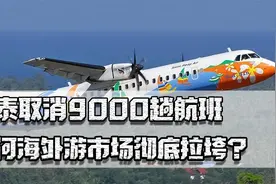 中泰取消9000趟航班，香港人到内地购物，为何海外游市场彻底拉垮视频封面