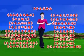 18首宝藏情歌《我把来生许给你》《红尘烟火》《真心爱过不后悔》