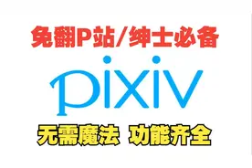 【pixiv】手机上p站安装包登入p站最强插画软件镜像版pixez!